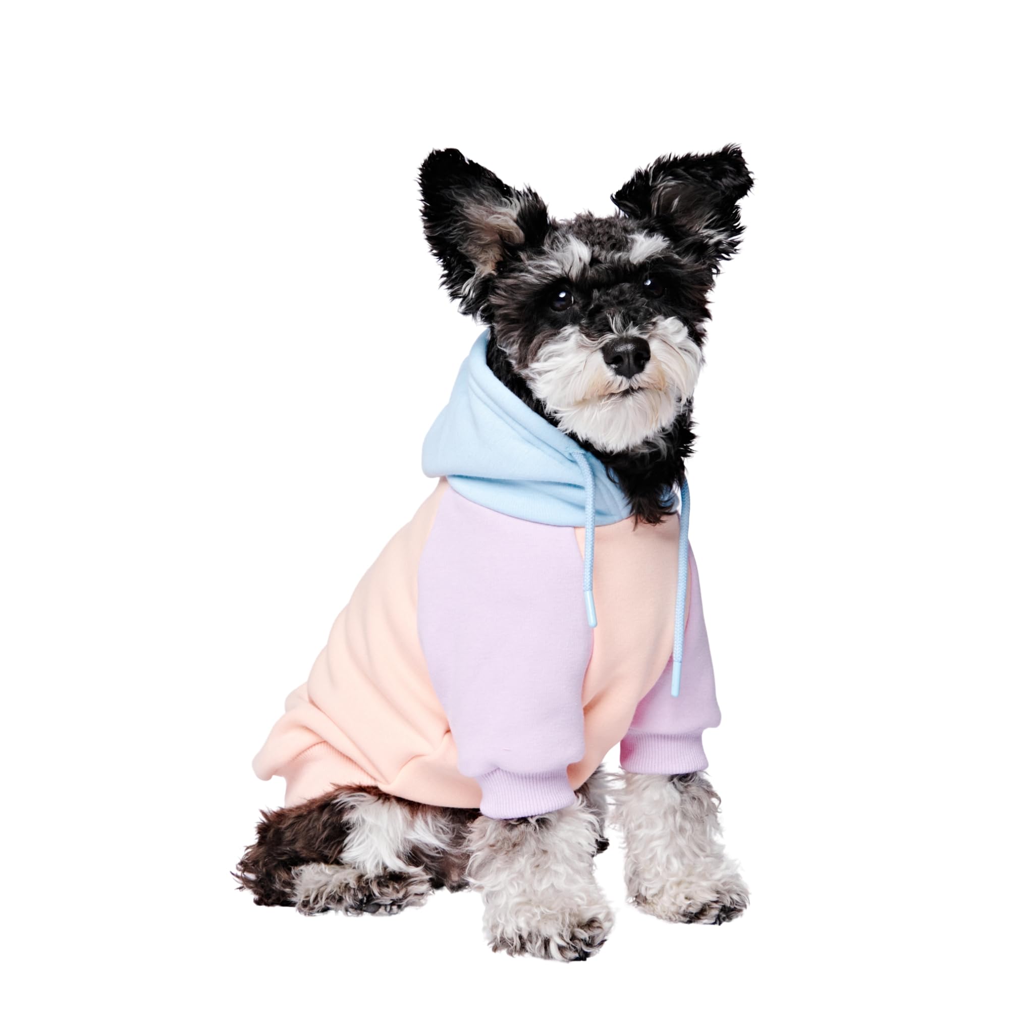 Amazon.com : Spark Paws Dog Hoodie – Premium Dog Sweater for